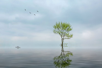 中央財經(jīng)大學(xué)在職研究生入學(xué)流程 中央財經(jīng)大學(xué)在職研究生入學(xué)流程