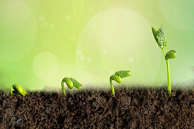 中央財(cái)經(jīng)大學(xué)在職研究生真的在河南地區(qū)有招生嗎？