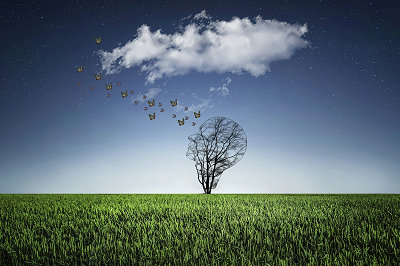 中央財經(jīng)大學(xué)在職研究生 中央財經(jīng)大學(xué)在職研究生