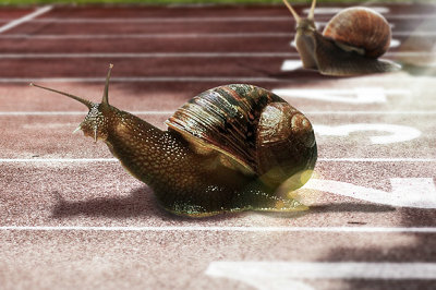 中央財經(jīng)大學在職研究生考試 中央財經(jīng)大學在職研究生考試