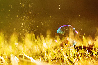 中央財(cái)經(jīng)大學(xué)在職研究生申碩考試難度 中央財(cái)經(jīng)大學(xué)在職研究生申碩考試難度