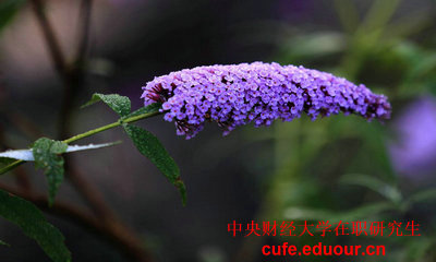 2018年中央財(cái)經(jīng)大學(xué)雙證在職研究生報(bào)名什么時候？