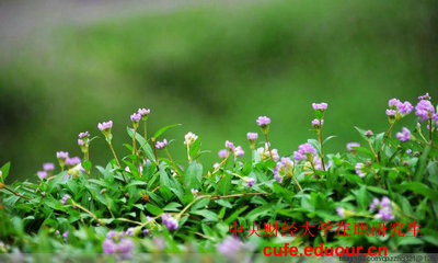 中財(cái)北京在職研究生招生專業(yè)？