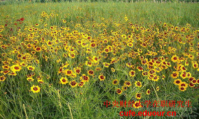 2018年中央財經大學在職研究生雙證現(xiàn)場確認開始了嗎？