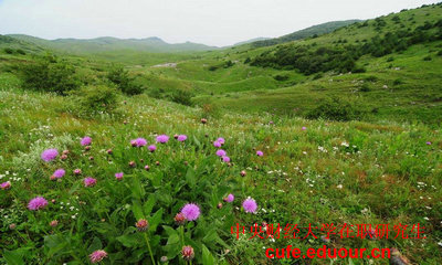 中國財經(jīng)大學在職研究生可以不考試么？