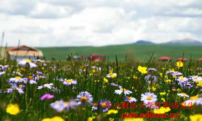報考央財在職研究生學位證沒有可以嗎？