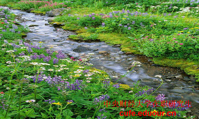 中央財經大學金融學在職研究生費用貴嗎？
